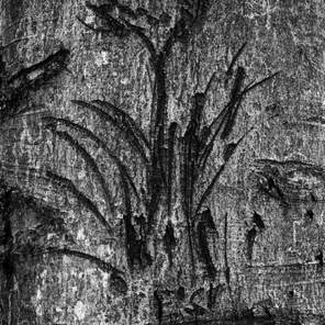 Tree Art, Susquehanna State Park 1997